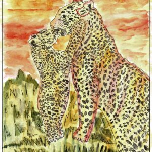 Kit Aquarelle - Les Animaux