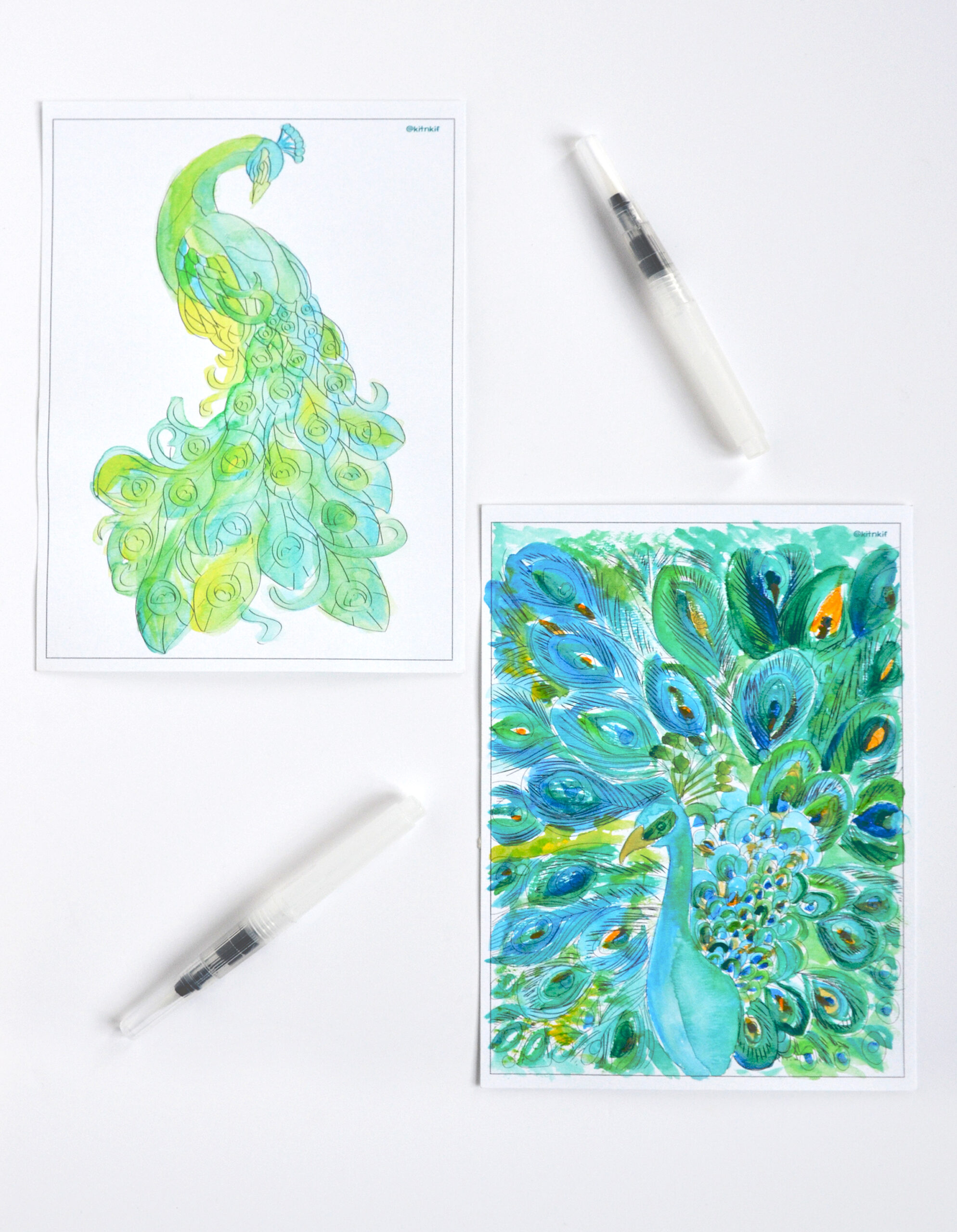 Kit Aquarelle - Les Paons