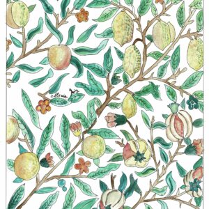 Illustration A3 - William Morris (fruit or pomegranate)